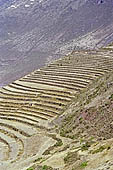 Urubamba Valley, spectacular terraces at Pisac